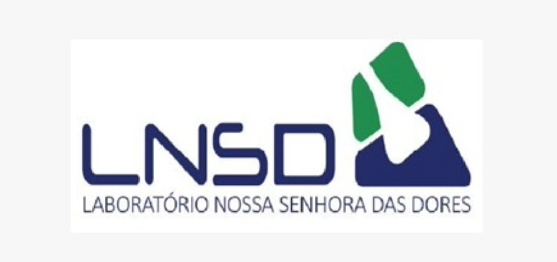 Sem título (14)